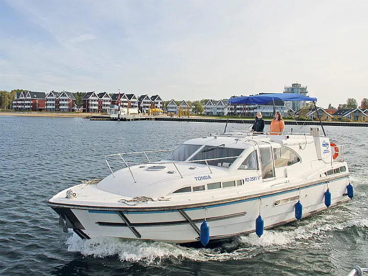 Haines 1190 -   - External image