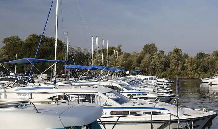 Haines 1190 - 
