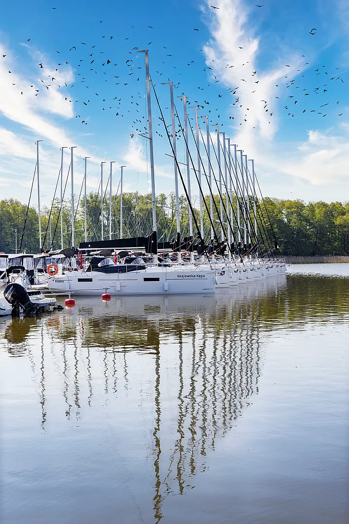 Maxus 34 - 